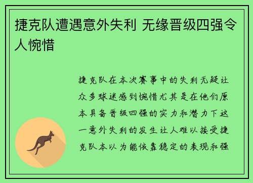 捷克队遭遇意外失利 无缘晋级四强令人惋惜