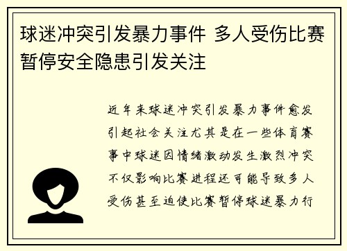 球迷冲突引发暴力事件 多人受伤比赛暂停安全隐患引发关注